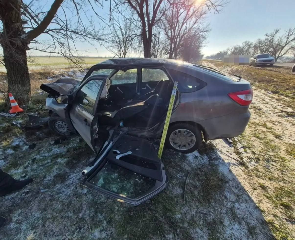 Легковушка влетела в дерево в Буденновском округе