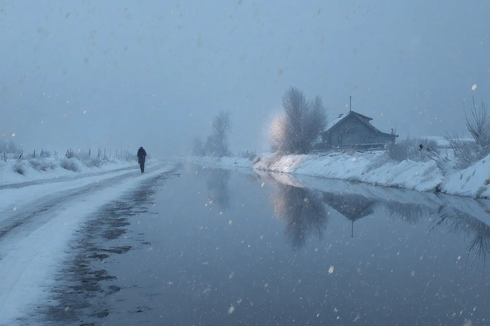 Почему витамин D важнее всего именно сейчас