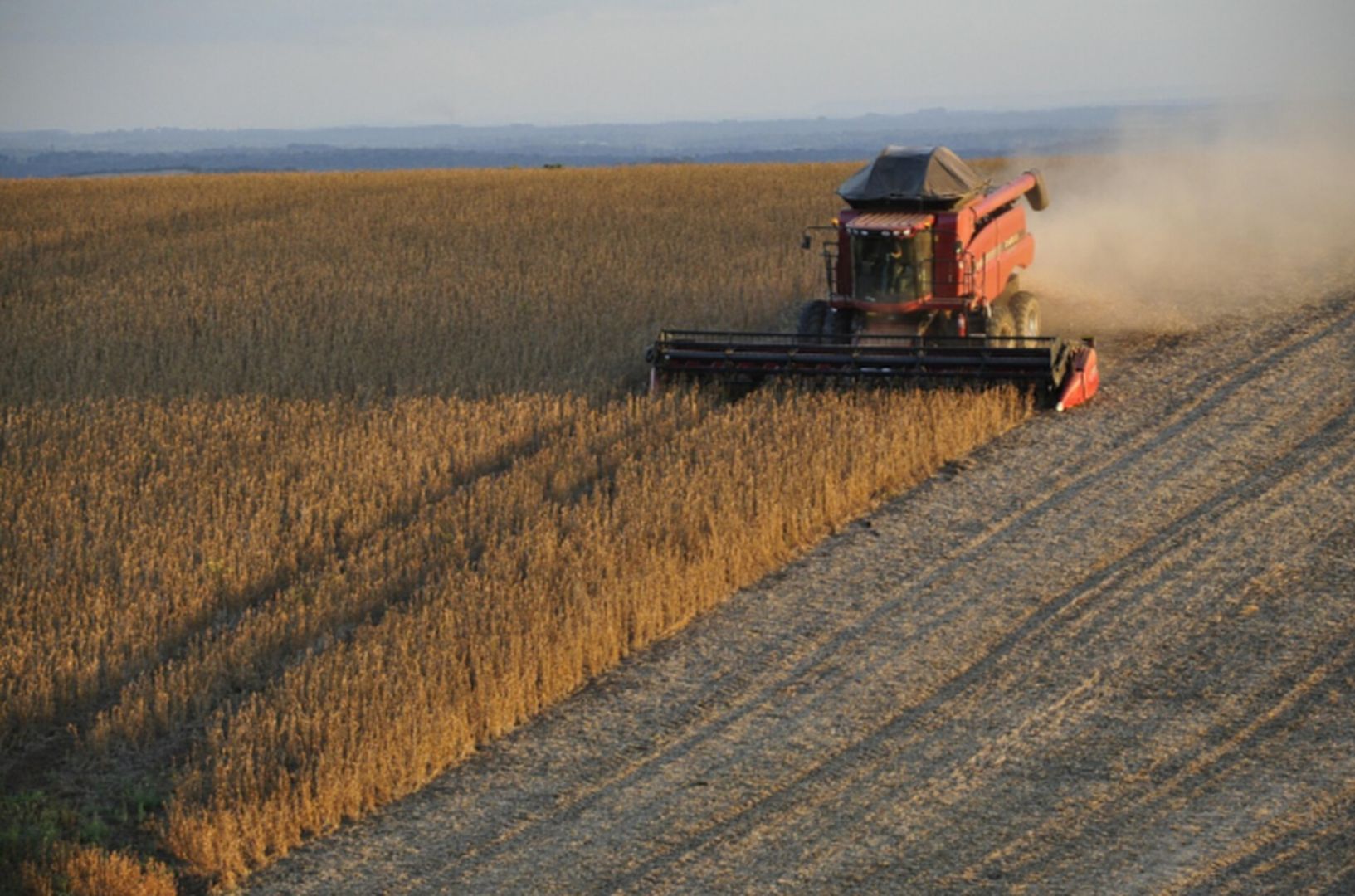 В Кочубеевском округе создан штаб для контроля уборки урожая