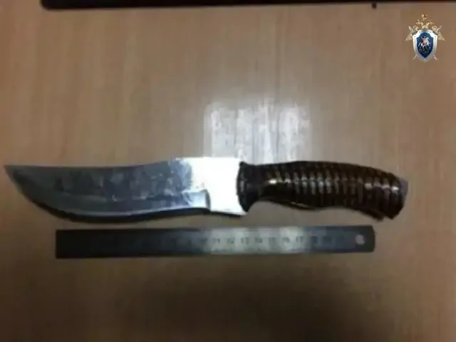 Двух жителей Ставрополья осудили за попытку убить полицейского