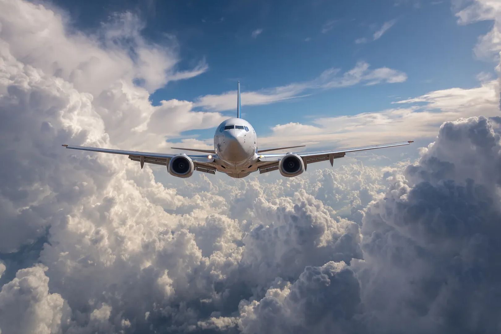 Суд опубликовал подробности уголовного дела о мошенничестве на фестивале КАРДО