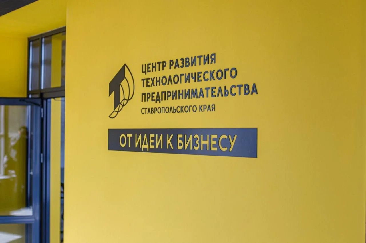 В стартапы Ставрополья инвестировали более 70 млн рублей