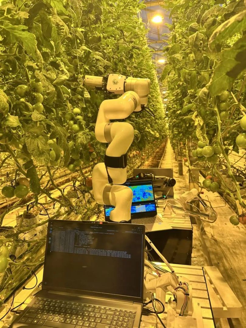 Ставропольские учёные испытали роботизированную систему мониторинга тепличных растений