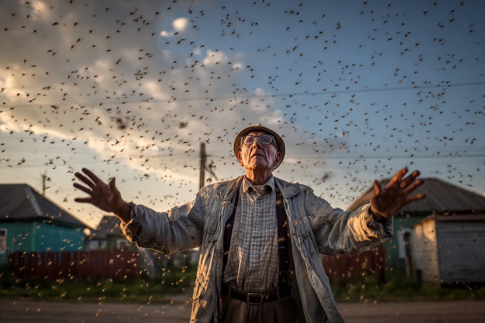 Ученые взяли «анализ крови» у комаров — и ужаснулись результатам