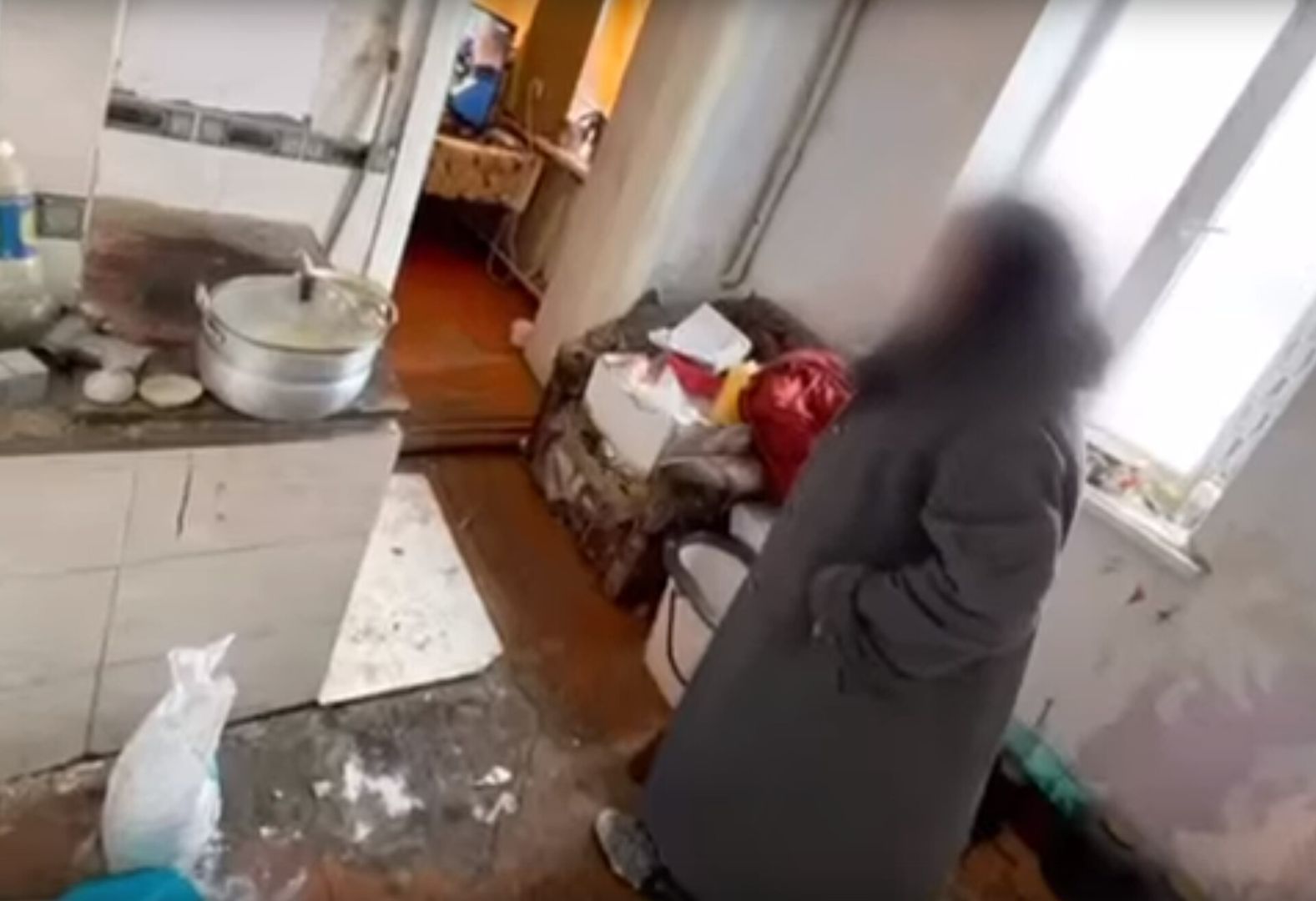 Суд продлил арест хозяйке собак, растерзавших ребенка