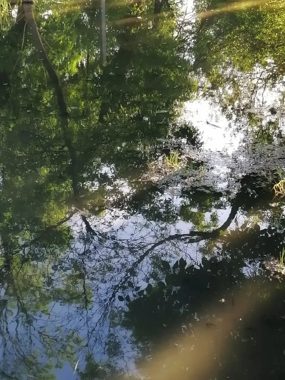 На Ставрополье вода в реке Егорлык поднялась до опасных отметок