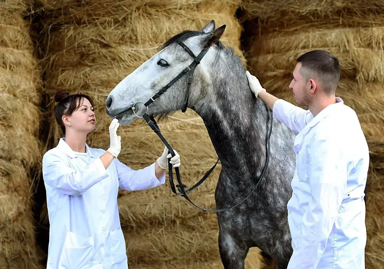 Ставропольский край увеличил субсидии на подготовку агроспециалистов до 6,1 млн рублей