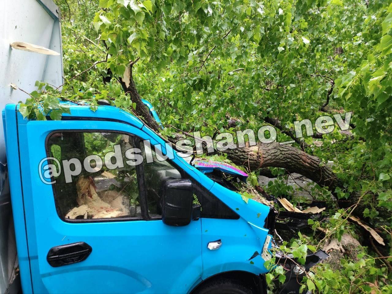 Дерево упало на грузовик в Невинномысске