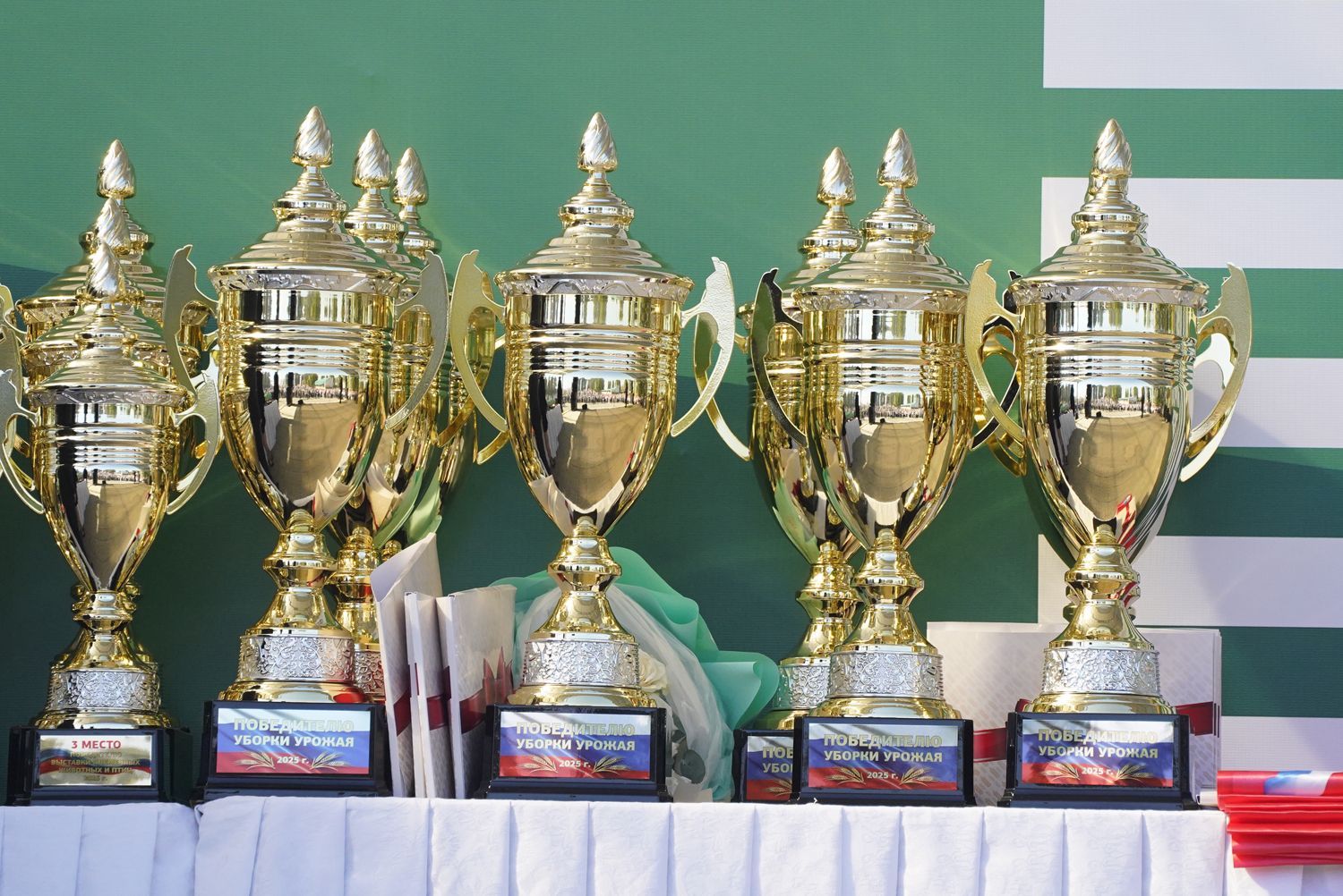 Губернатор Ставрополья наградил лучших аграриев края по итогам страды-2025