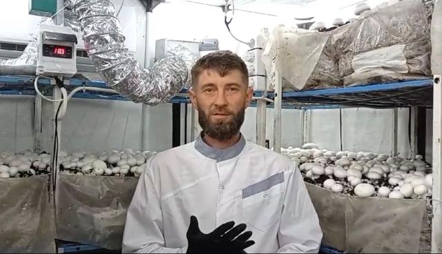 Житель Предгорья открыл ферму по выращиванию шампиньонов благодаря соцконтракту