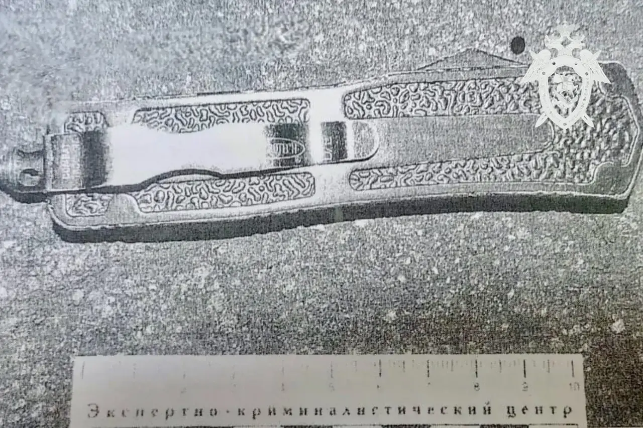 12 ударов ножом: на Ставрополье парень отправился в колонию за покушение на убийство