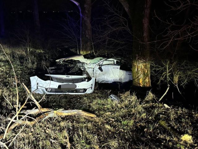 В Ставрополе водитель с 22 ПДД-штрафами врезался в дерево и попал в больницу