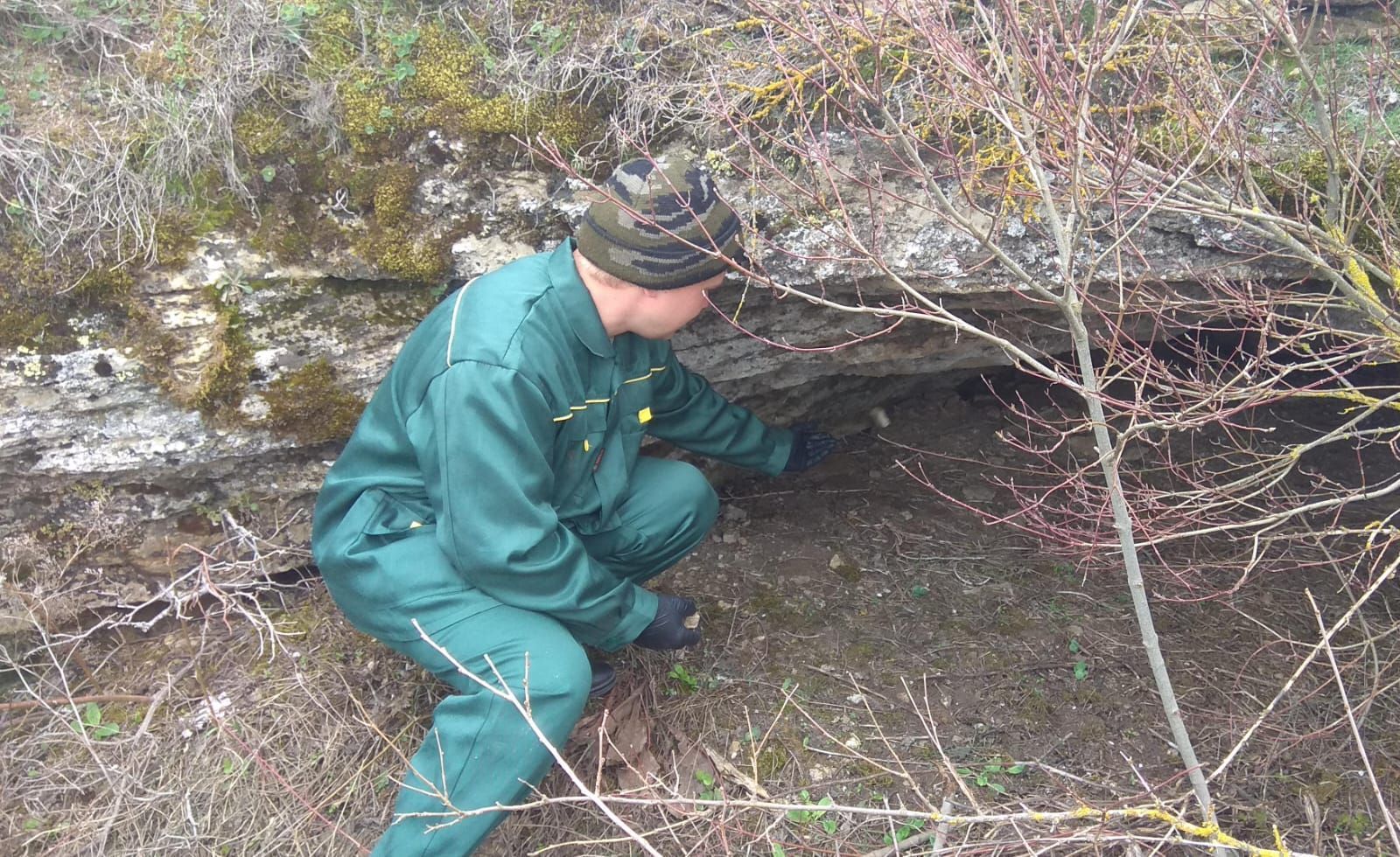 На Ставрополье завершили первый этап вакцинации диких животных против бешенства