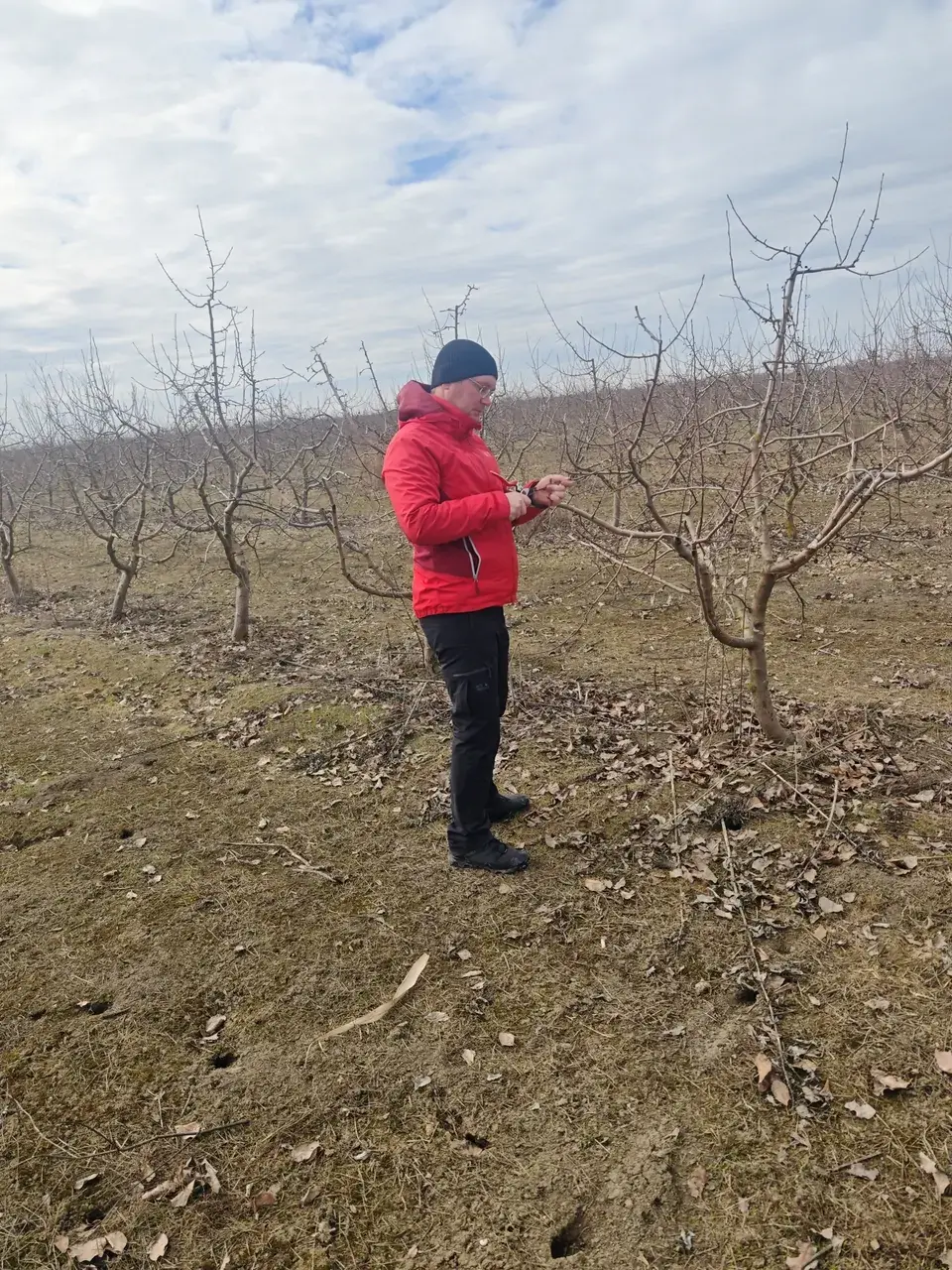 Состояние виноградников после зимы оценили на Ставрополье как стабильное