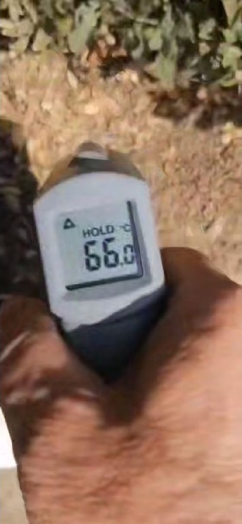 Экстремальный нагрев почвы до 66 градусов зафиксирован на Ставрополье