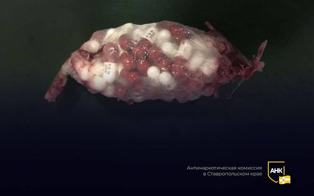 На Ставрополье заключённому пытались передать в колонию «сильнодействующий» сок На Ставрополье заключённому пытались передать в колонию «сильнодействующий» сок
