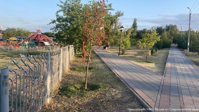 Подрядчик провернул аферу при благоустройстве парка в Буденновске