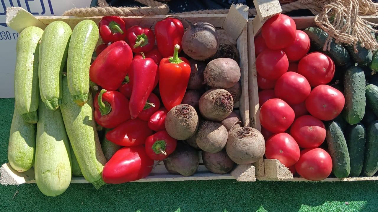 Аграрии Ставрополья на треть завершили уборку овощей борщевого набора