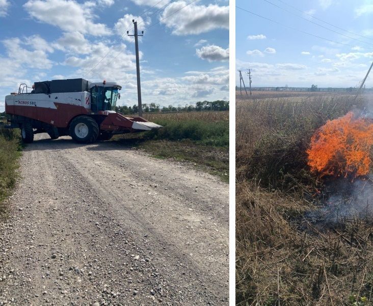На Ставрополье сожгли дикорастущую коноплю