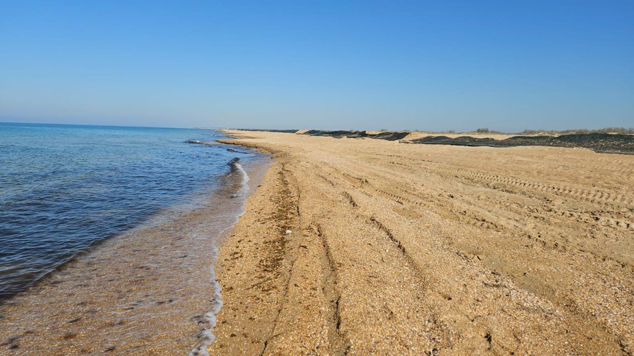 Пляжи Анапы и Темрюка признаны небезопасными для летнего отдыха из-за мазута