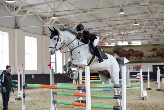 Конники Ставрополя завоевали шесть медалей на Кубке Победы и края