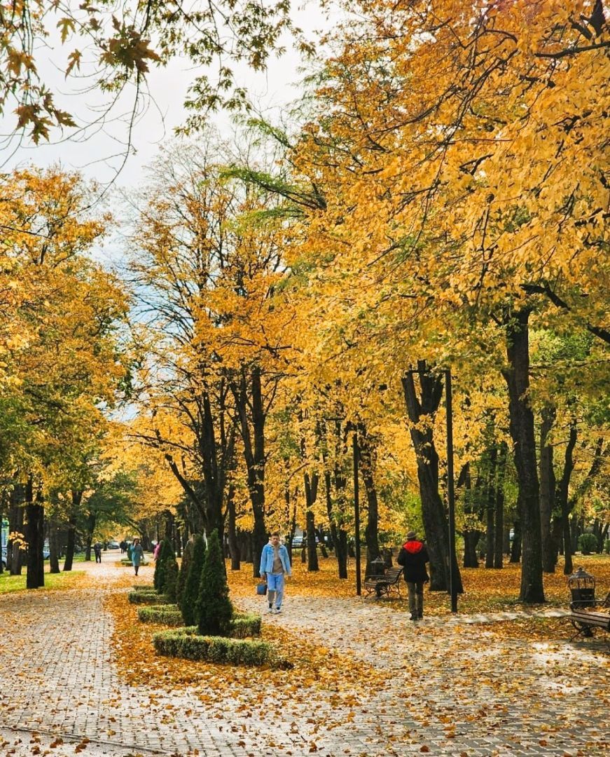 До +18 градусов потеплеет на Ставрополье в начале недели