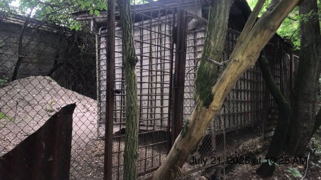 Несанкционированный приют для собак обнаружили в Железноводске