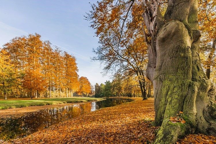 Четыре ставропольских города вошли в десятку популярных направлений для отдыха в бархатный сезон