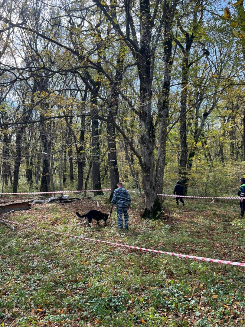 Миномётную мину обнаружили в окрестностях Железноводска