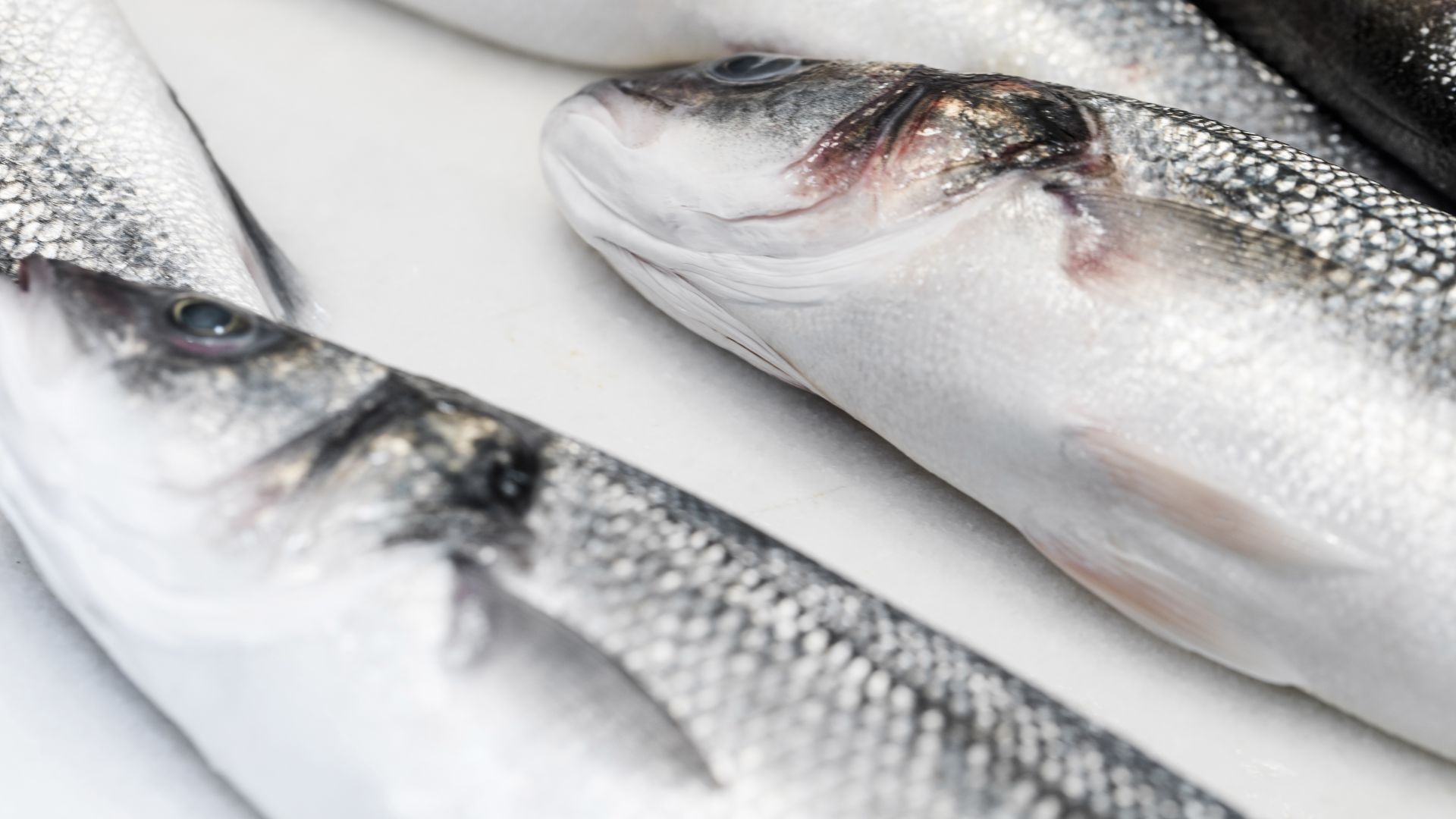 В Киргизию впервые экспортировали рыбу со Ставрополья