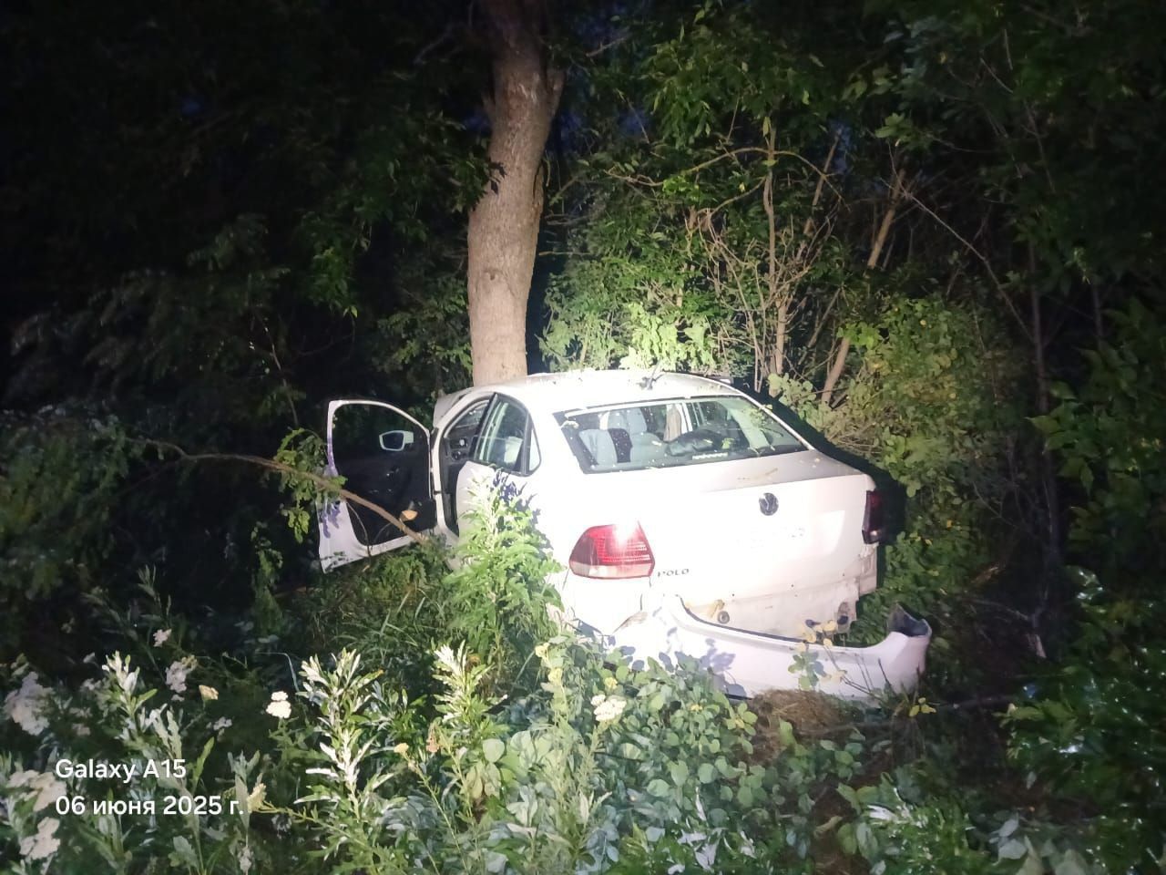 Иномарка врезалась в дерево в Минераловодском округе