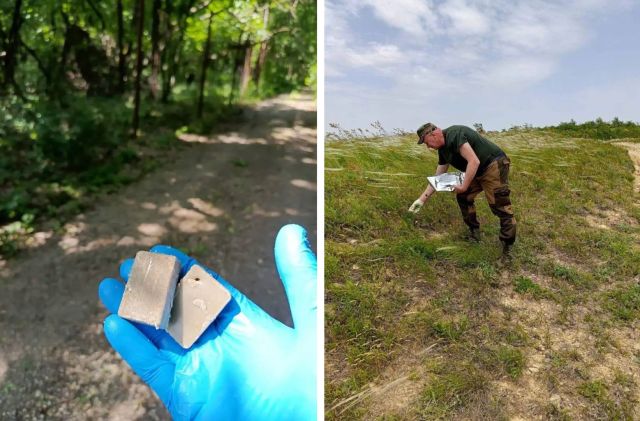 Вкусняшки от бешенства разложили для диких животных на Ставрополье