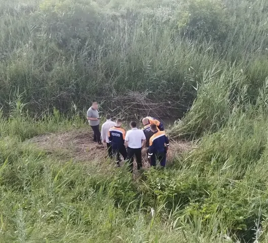 Тело мужчины достали из реки на Ставрополье