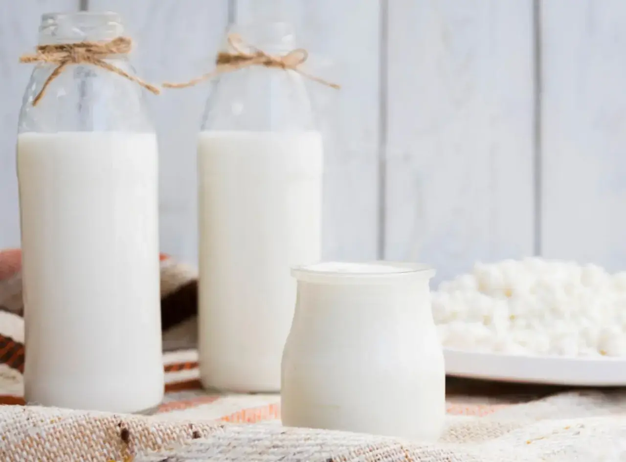 Ставрополье нарастило экспорт молочной продукции более чем в 6 раз