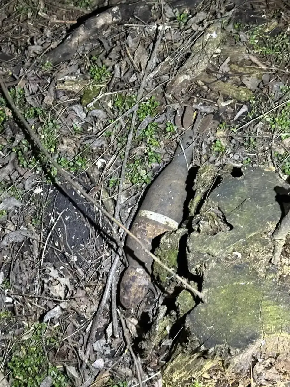Мину времён Великой Отечественной войны нашли возле кладбища в Предгорном округе