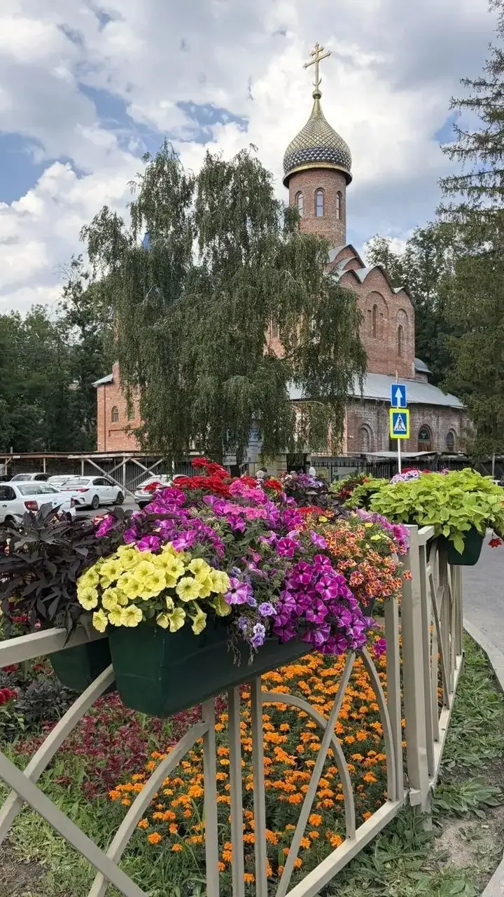 Более 350 подвесных кашпо украшают улицы Ставрополя Более 350 подвесных кашпо украшают улицы Ставрополя