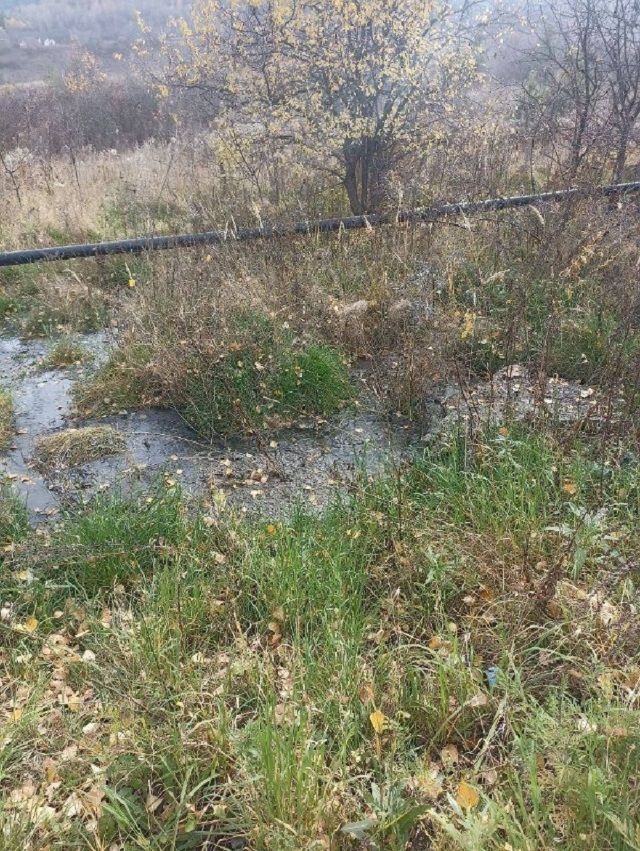 Жители Кисловодска требуют устранить зловоние от нечистот