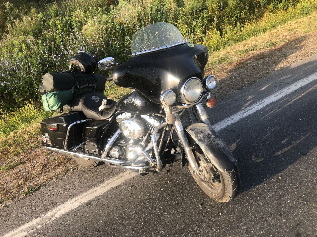 Мотоциклист сбил кабана в Минераловодском округе