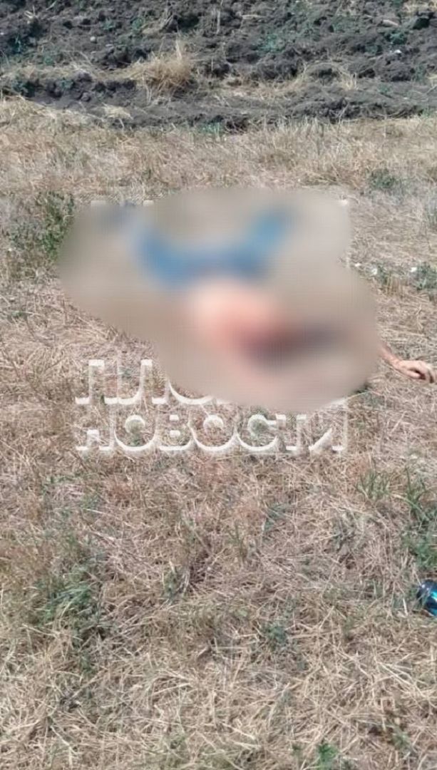 Следком Ставрополья развенчал фейк об убийстве с отрезанной головой