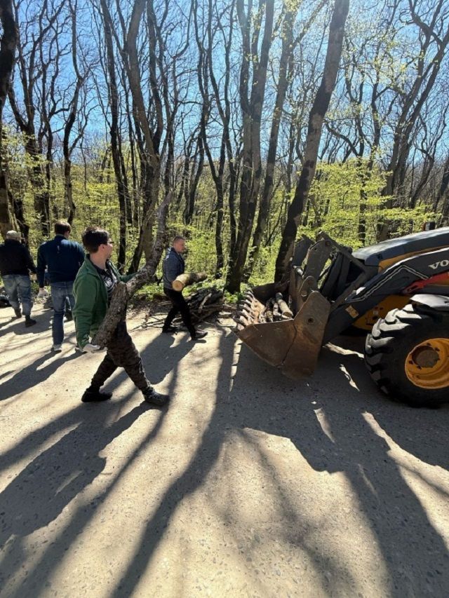 Восемь «КамАЗов» валежника и 3 кубометра мусора вывезли из Русского леса