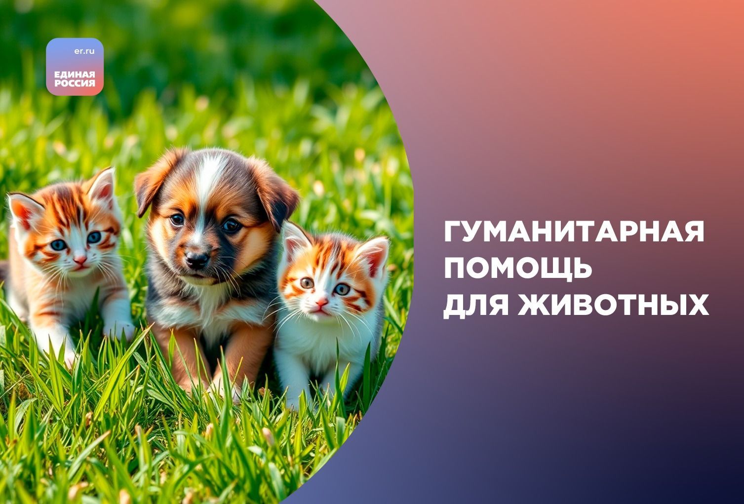 Сбор гуманитарной помощи для животных Курской области объявили на Ставрополье