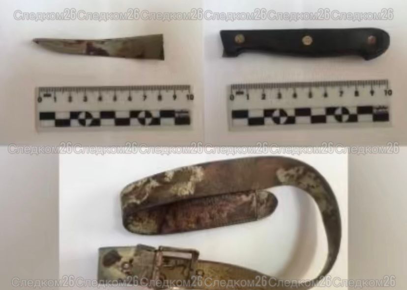 Житель Ставрополья 12 лет проведет в колонии за покушение на убийство знакомого