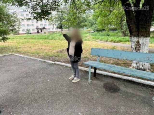 Ставропольчанка отправилась в колонию за нападение с ножом на подростка