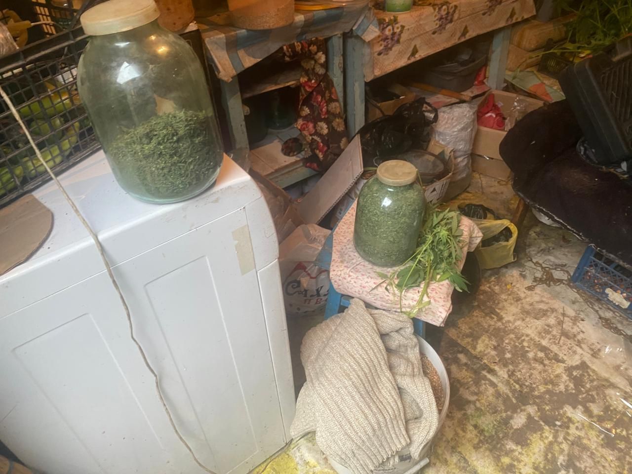 У Ставропольца изъяли более 2 кг марихуаны