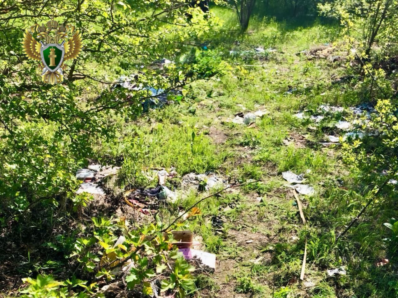 На горе Верблюд ликвидировали свалку