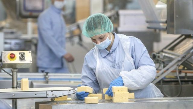 На Ставрополье предприниматель будет наказан за фальсификацию производимого им сыра На Ставрополье предприниматель будет наказан за фальсификацию производимого им сыра