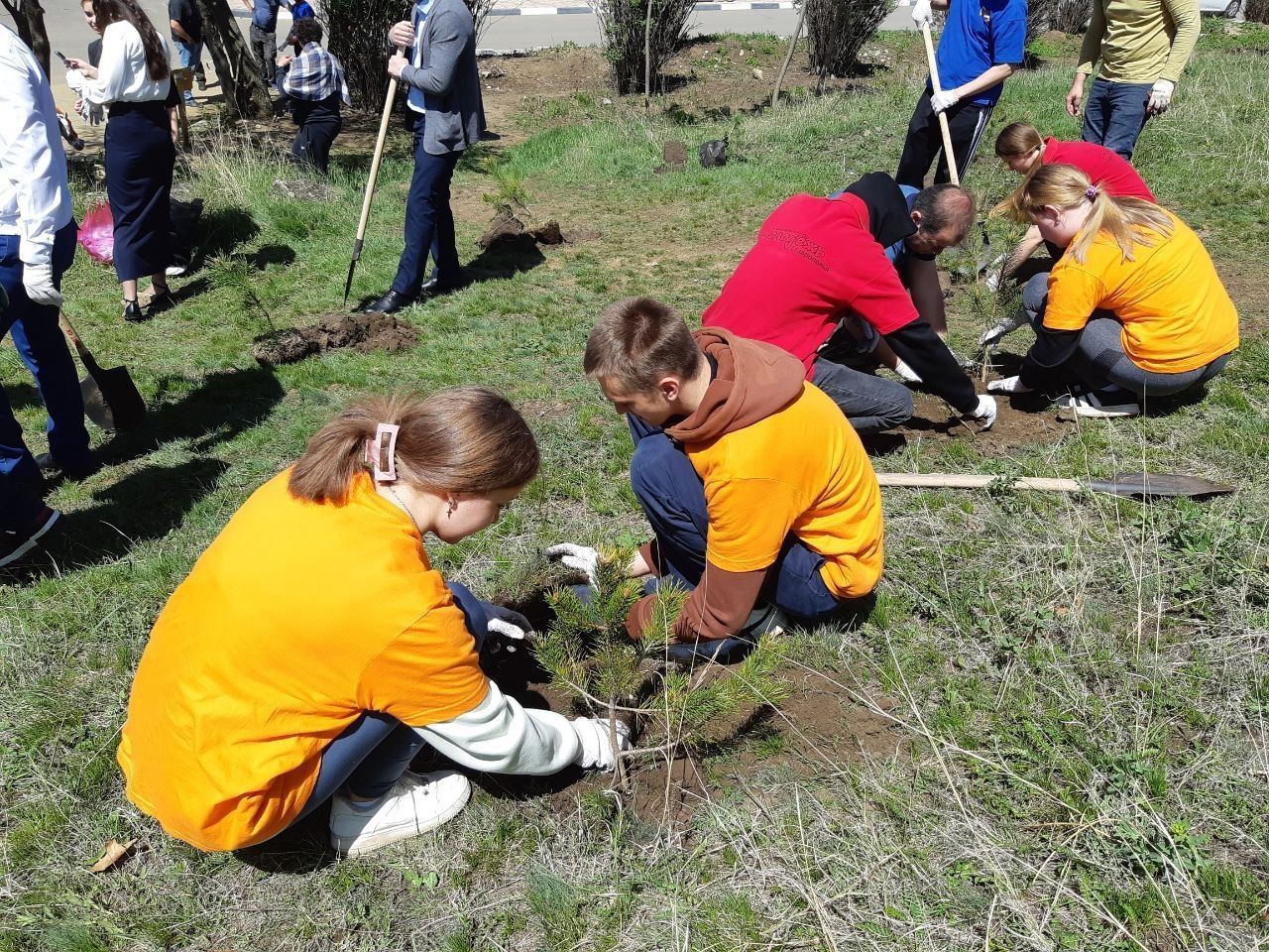 Аллея памяти героев СВО появится в Предгорном округе