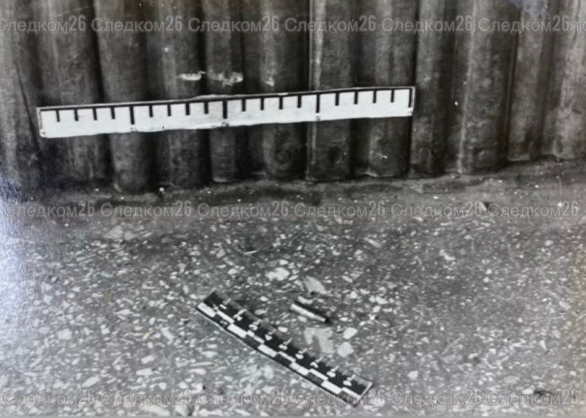 Жителя Ставропольского края обвинили в расстреле бармена