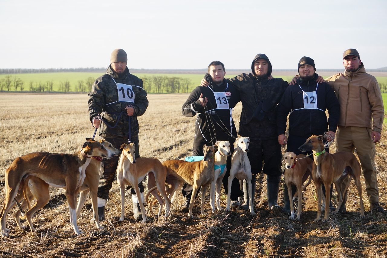В Ставропольском крае прошли состязания борзых собак по зайцу-русаку