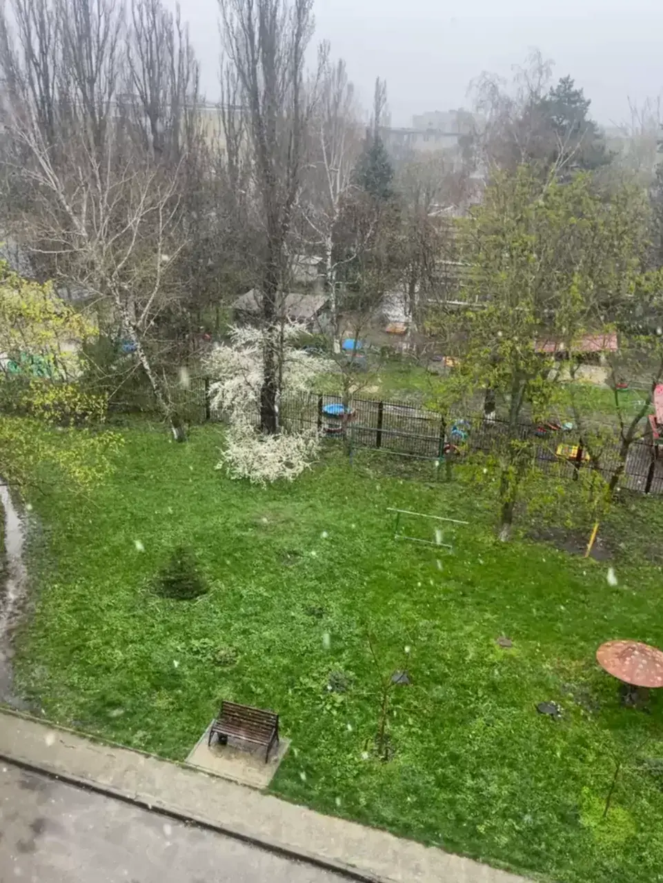 Снег с дождем идет в апреле в Ставрополе